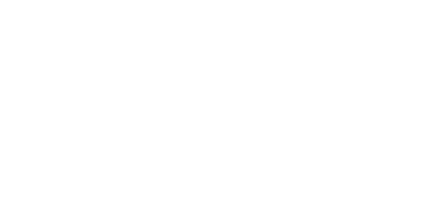 RBCZ-geregistreerde therapeut